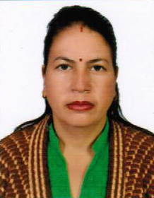 संचालक
